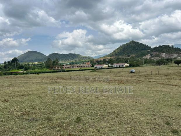 Naivasha Moi Ndabi 22.9 Acres Farm on Sale