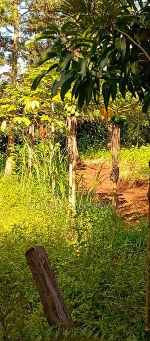 Commercial Land for Sale - thumbnail 2