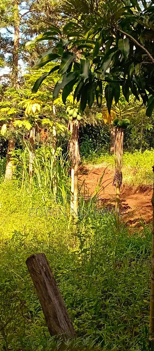 Commercial Land for Sale