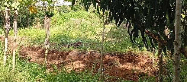 Commercial Land for Sale - thumbnail 4