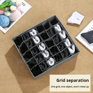 Innerwear Storage Organizer