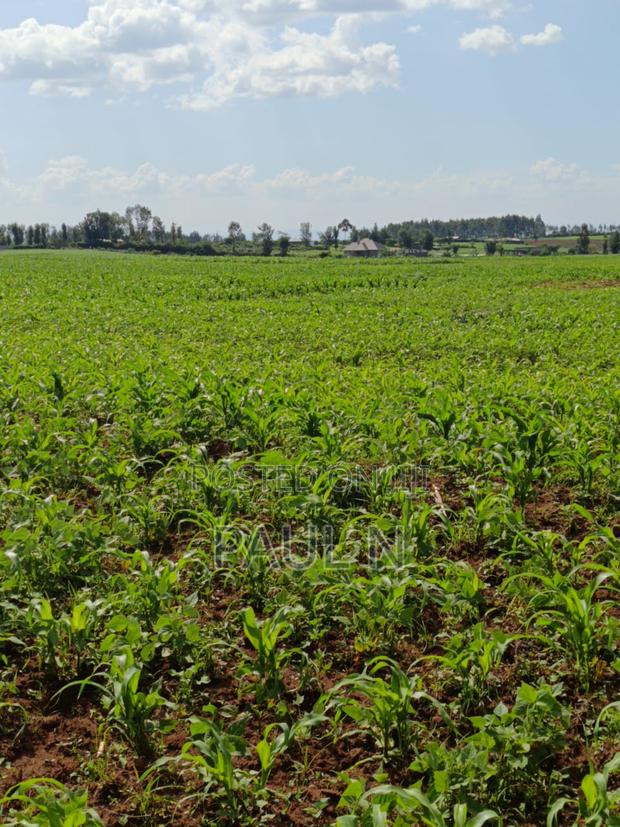 50 by 100 Plot in Nakuru, Bahati for Sale - main view