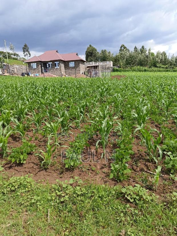 50 by 100 Plot in Nakuru, Bahati for Sale - thumbnail 2