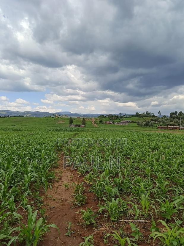 50 by 100 Plot in Nakuru, Bahati for Sale - thumbnail 3