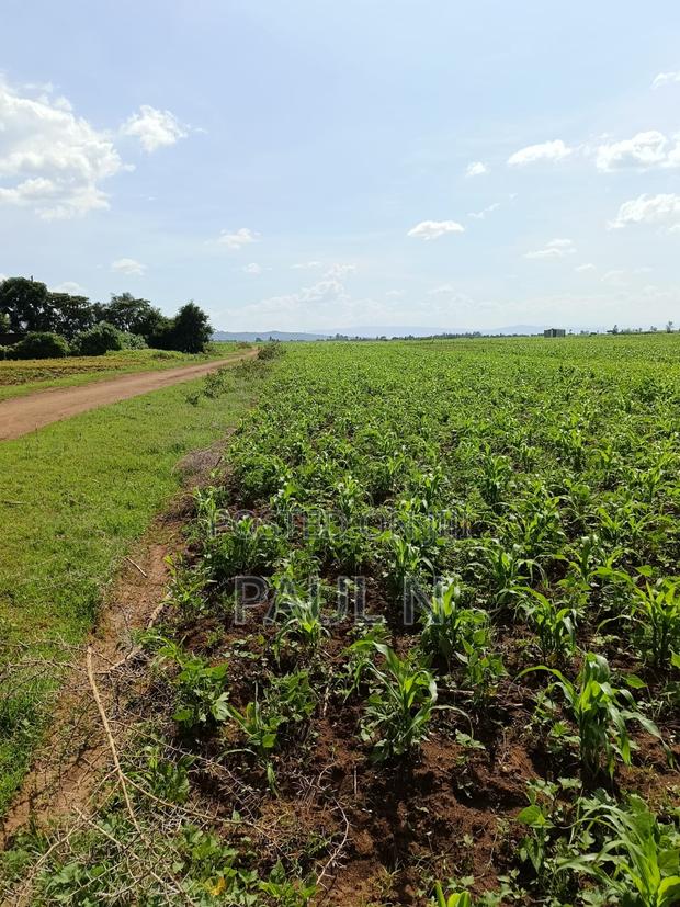 50 by 100 Plot in Nakuru, Bahati for Sale - thumbnail 4