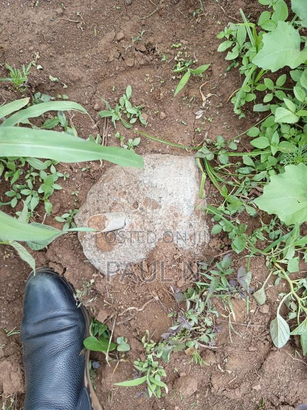 50 by 100 Plot in Nakuru, Bahati for Sale - thumbnail 6