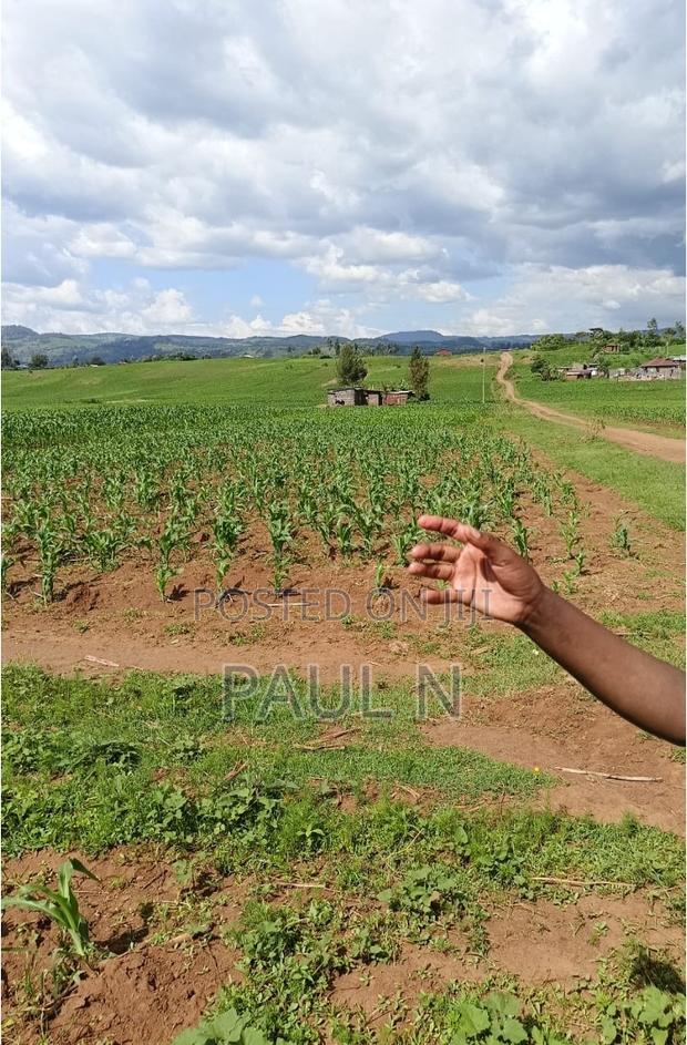 50 by 100 Plot in Nakuru, Bahati for Sale - thumbnail 9