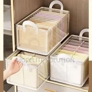 Thick Transparent Closet Organizer