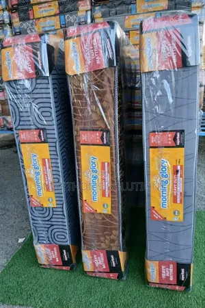 4 X 6, 8inch Morning Glory Heavy Duty Quilted Mattresses