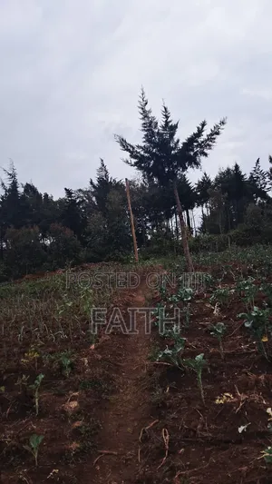 2 Acres on Sale
