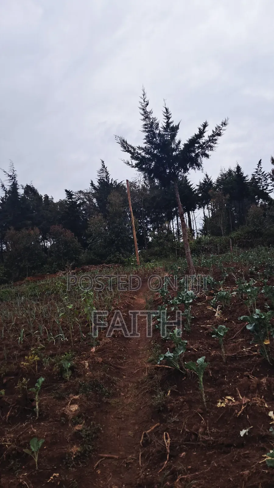 2 Acres on Sale