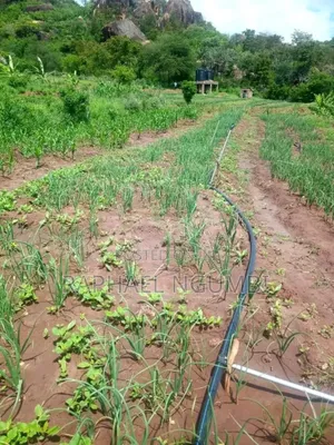 3.5 Acres at Piped Irrigation Land At