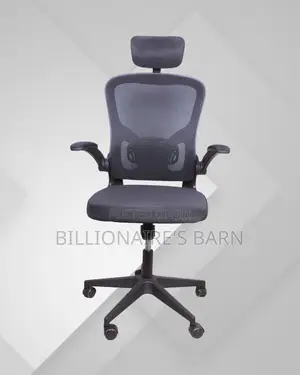 Executive Ergonomic Finish Grey | | Order Yours Today