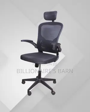 Executive Ergonomic Finish Grey | | Order Yours Today