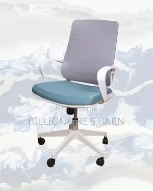 Premium Chair Mesh White | New | Same-Day Delivery Available