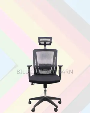 Mesh Work Chair With Lumbar Support | Perfect for Home Office
