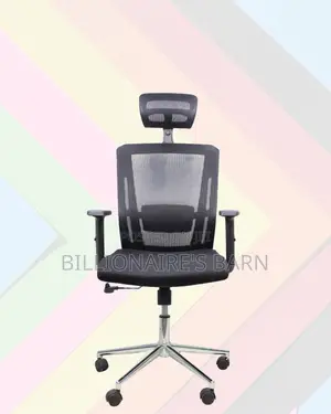 Adjustable Mesh Work Chair | Modern Chrome Finish