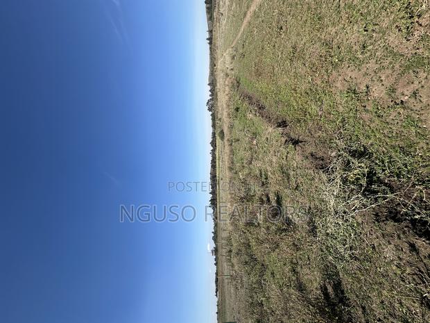 Kikuyu Plots for Sale 50/100 - thumbnail 4