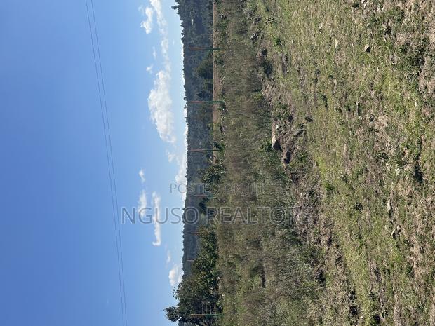 Kikuyu Plots for Sale 50/100 - thumbnail 2