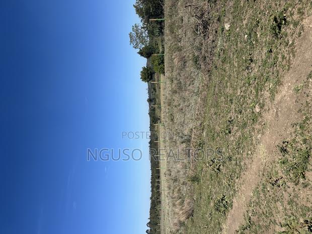 Kikuyu Plots for Sale 50/100 - thumbnail 3