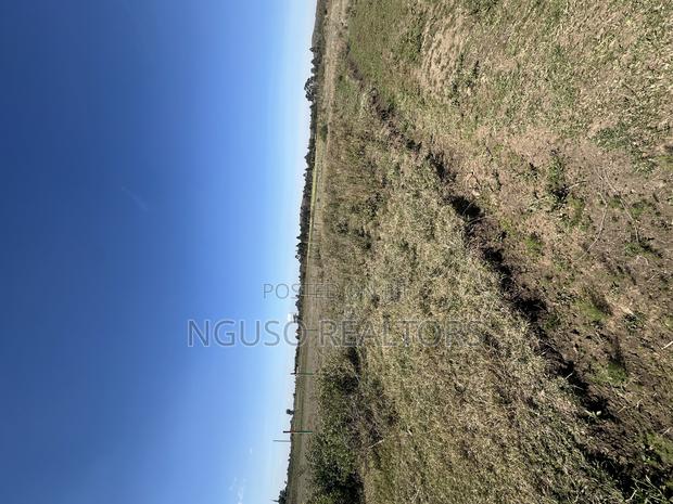 Kikuyu Plots for Sale 50/100 - thumbnail 6