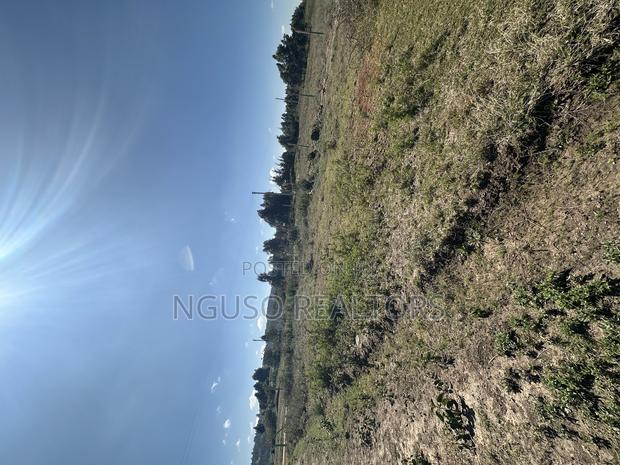 Kikuyu Plots for Sale 50/100 - thumbnail 7