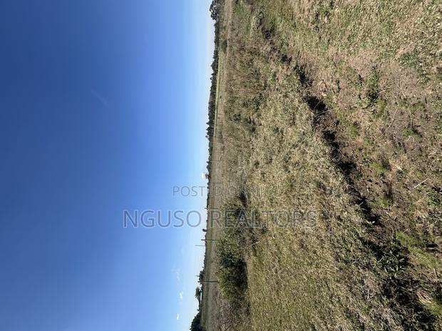 Kikuyu Plots for Sale 50/100 - thumbnail 8