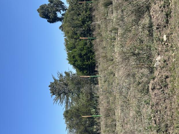 Kikuyu Plots for Sale 50/100 - main view