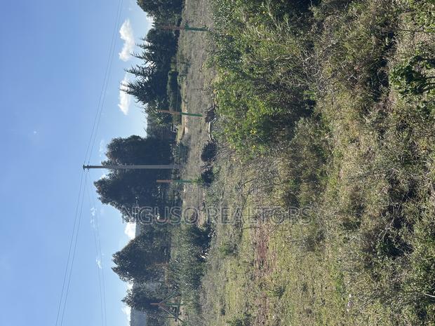 Kikuyu Plots for Sale 50/100 - thumbnail 5