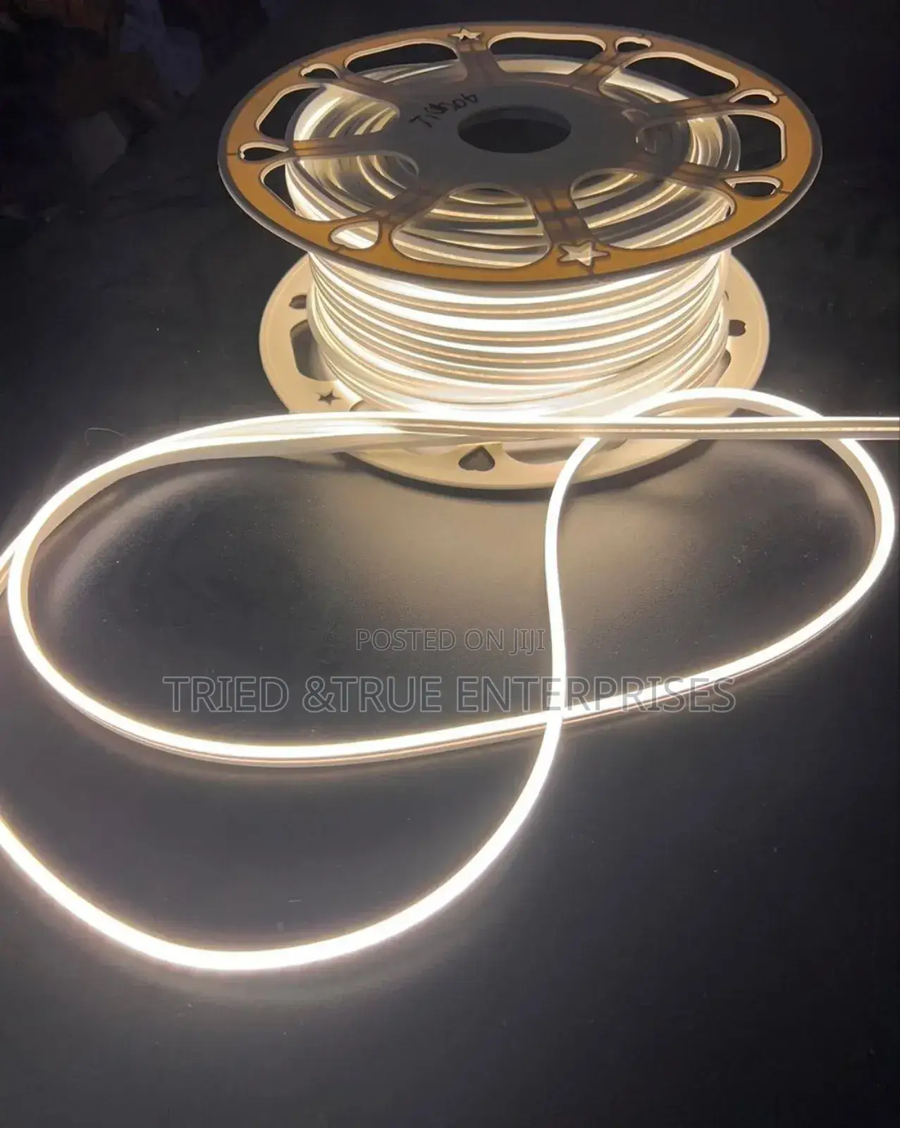 Elegant White And Warm White Neon Snakelight Tfd3