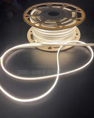 Elegant White And Warm White Neon Snakelight Tfd3