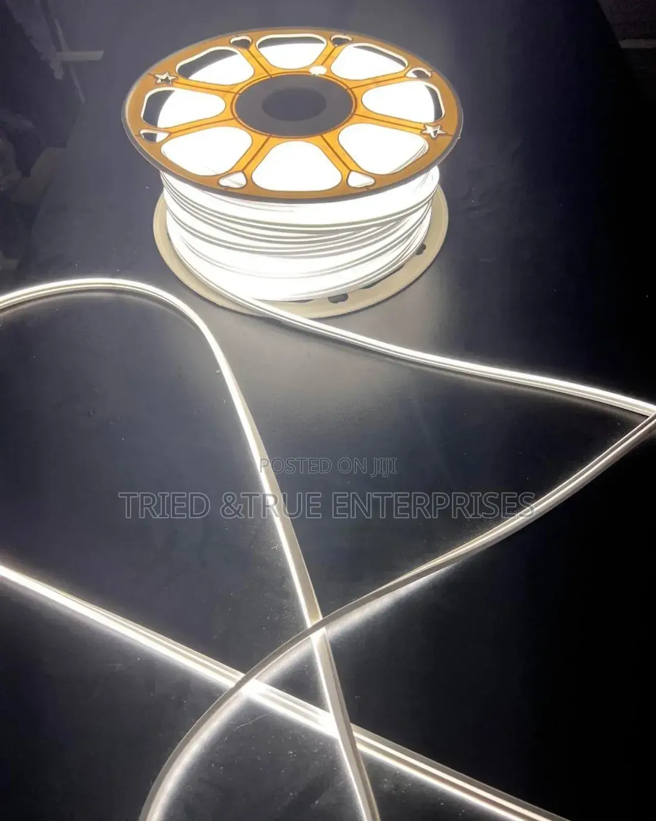 Elegant White And Warm White Neon Snakelight Tfd3