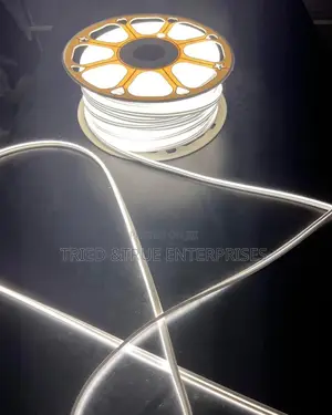 Elegant White And Warm White Neon Snakelight Tfd3