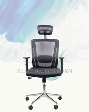 Premium Mesh Executive Seat | Designed for Long Hours