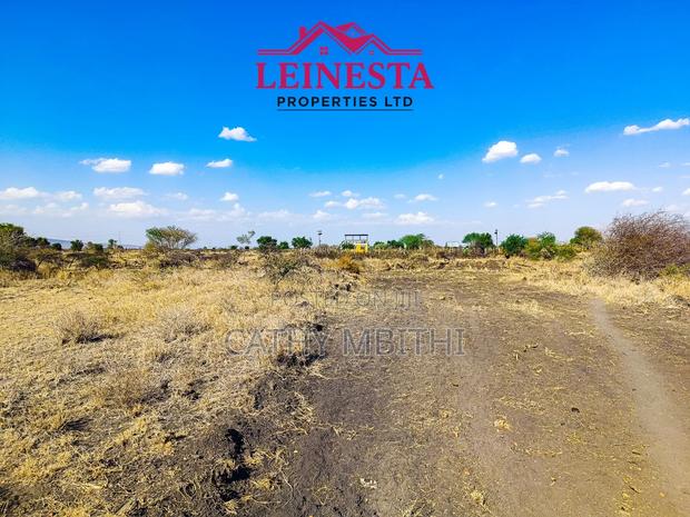 50×100 Konza Plots - thumbnail 4