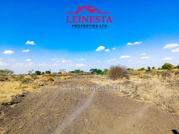 50×100 Konza Plots - thumbnail 5