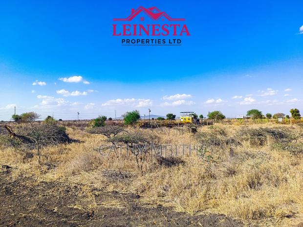 50×100 Konza Plots - thumbnail 6