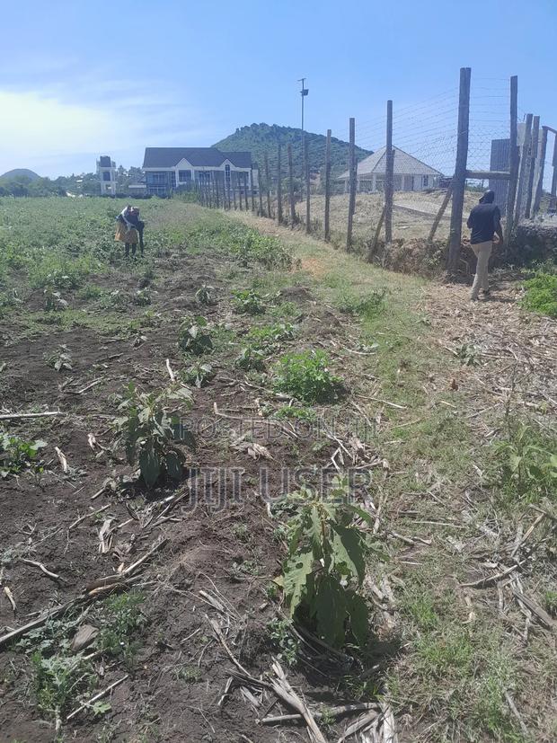 Beach Plot in Lela Beach Homa Bay 8 Acres - thumbnail 5