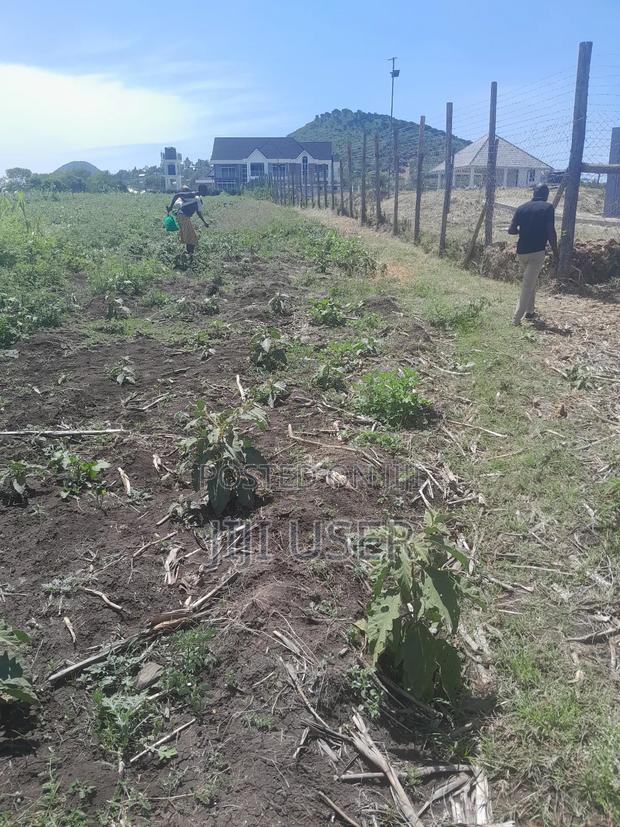 Beach Plot in Lela Beach Homa Bay 8 Acres - thumbnail 6