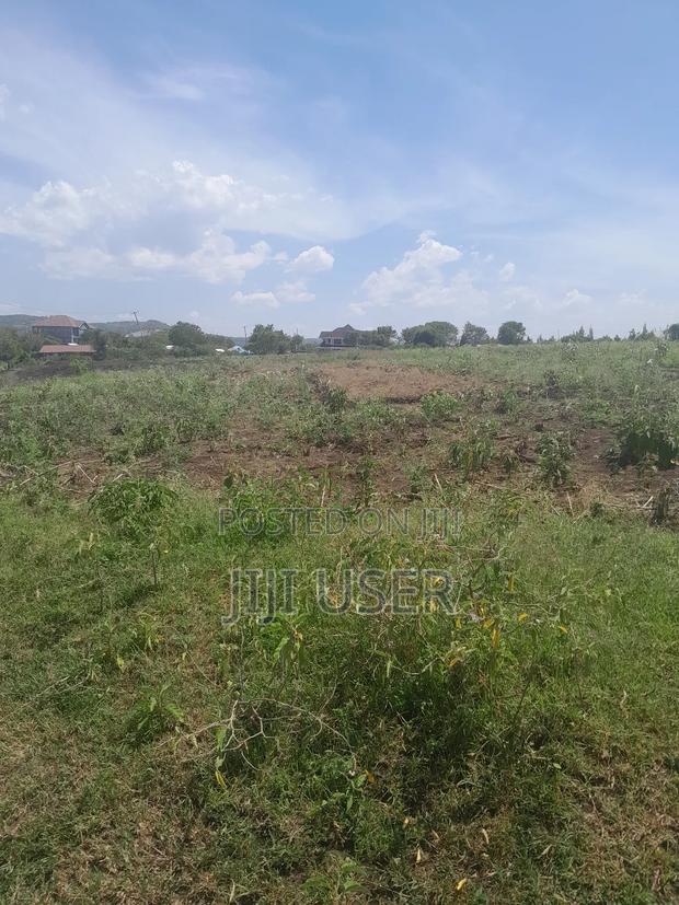 Beach Plot in Lela Beach Homa Bay 8 Acres - thumbnail 7