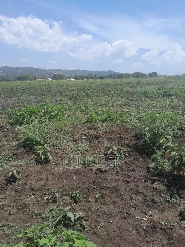 Beach Plot in Lela Beach Homa Bay 8 Acres - thumbnail 8