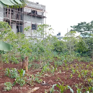 50 X 100 Commercial Plot Kihingo Kiambu