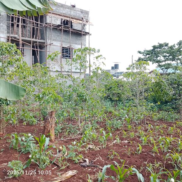 50 X 100 Commercial Plot Kihingo Kiambu