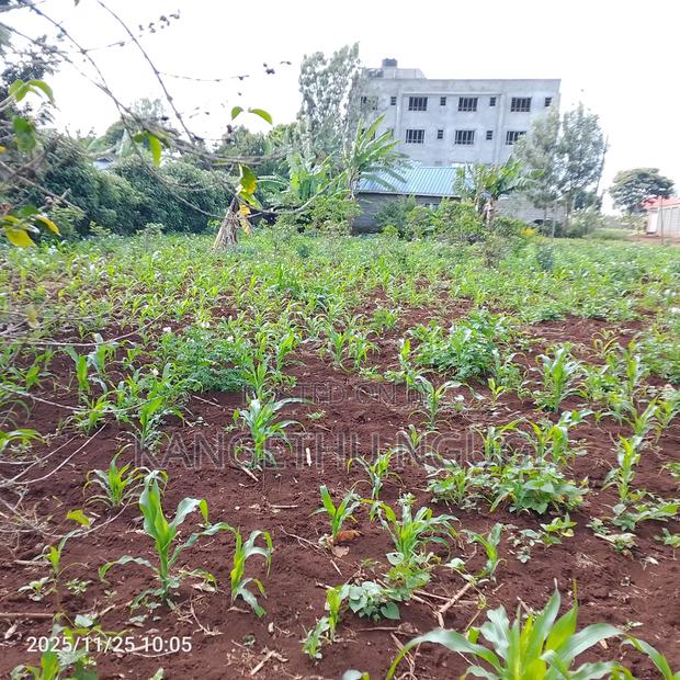 50 X 100 Commercial Plot Kihingo Kiambu - thumbnail 2