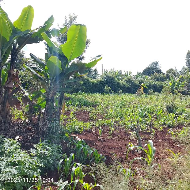 50 X 100 Commercial Plot Kihingo Kiambu - thumbnail 5
