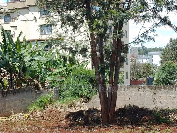 Quarter Acre Commercial Plot Kirigiti, Kiambu - thumbnail 7