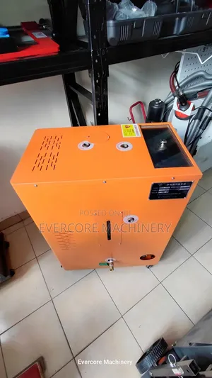 Commercial Steam Cleaning Machine Single Phase Output.