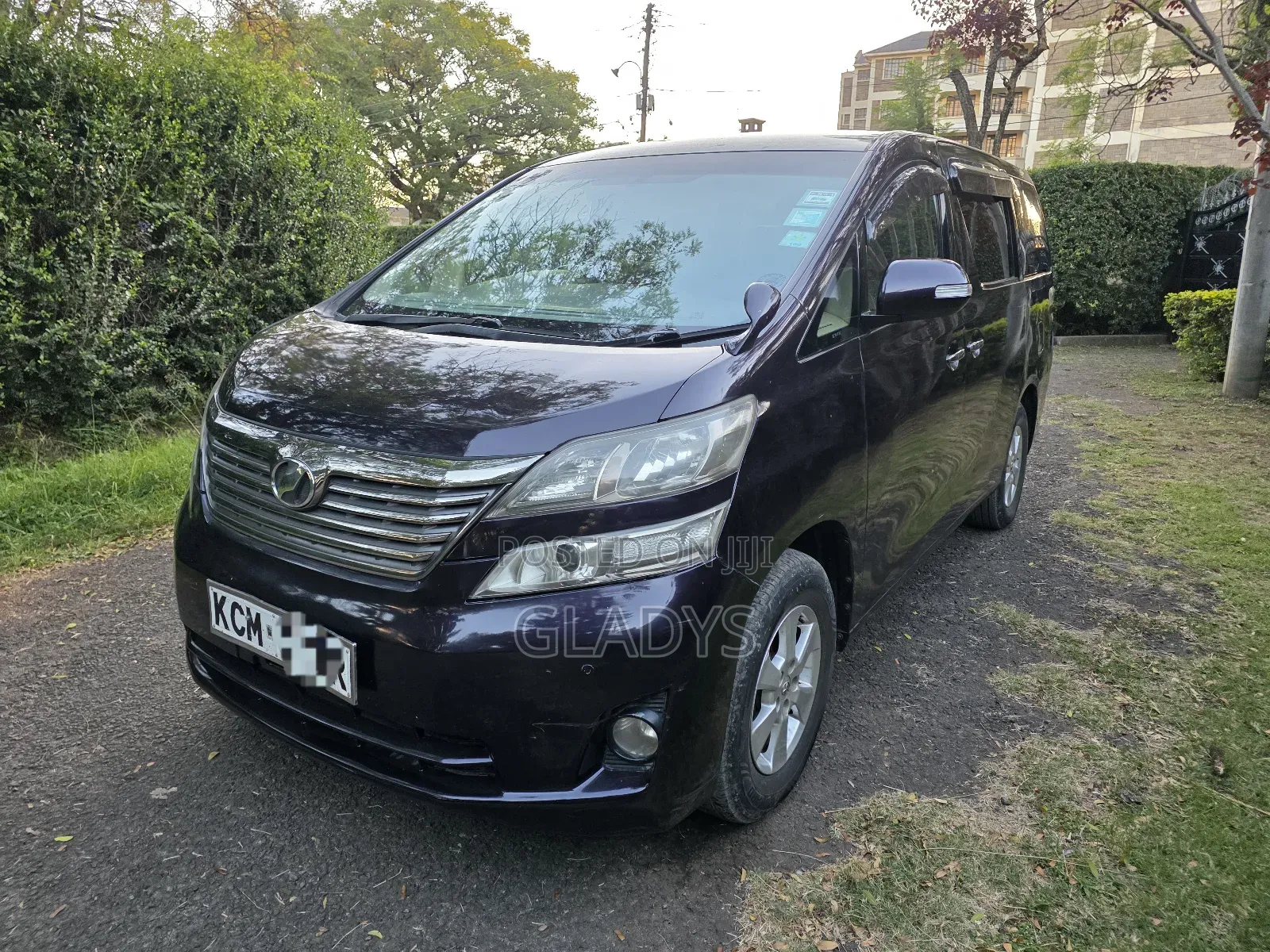 Toyota Vellfire 2010 Purple