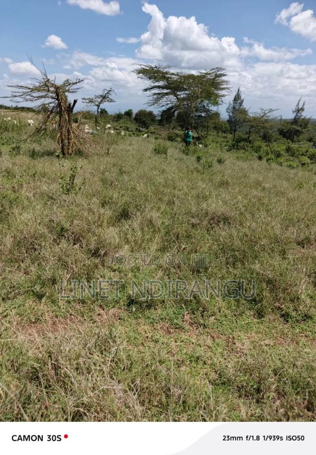 50x100 Plots for Sale in Nyeri- Kiawara - main view