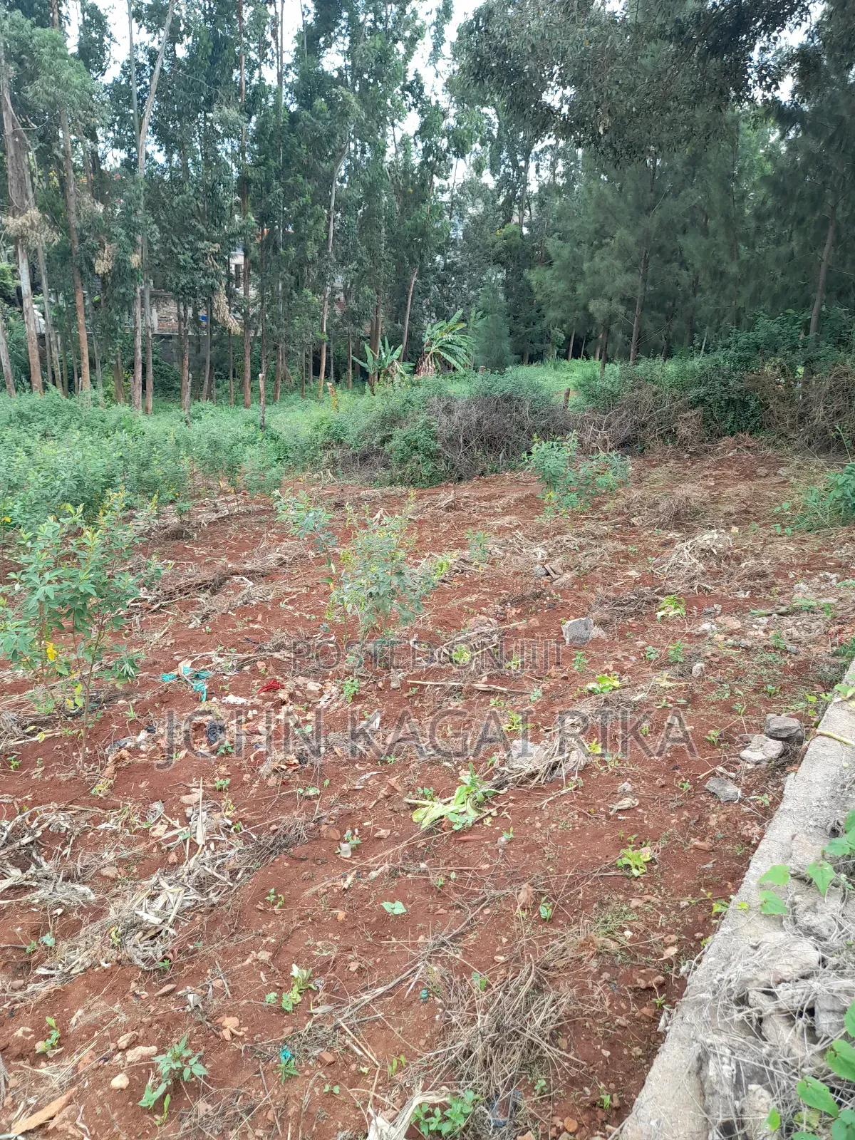 Thindigua Development Land for Sale